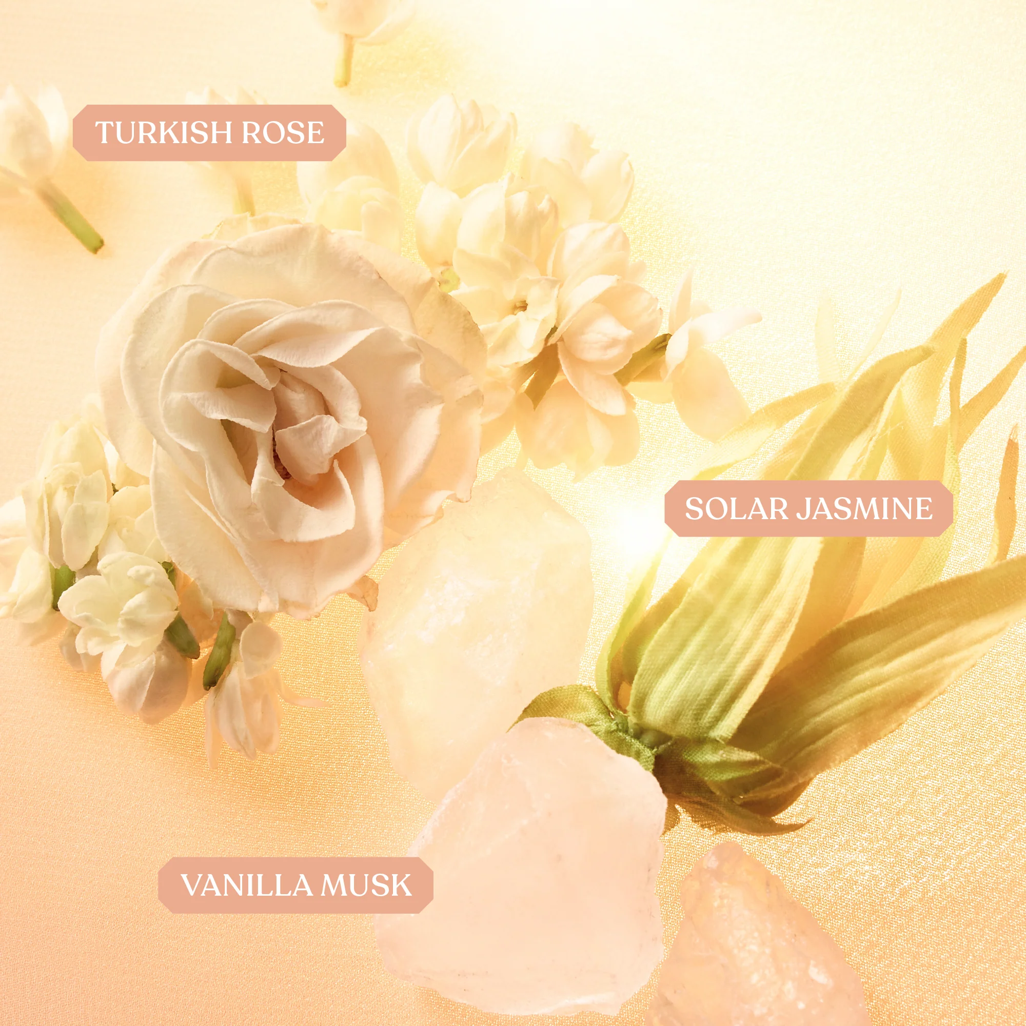 Freedom Musk Bouquet | 27 - Image 4