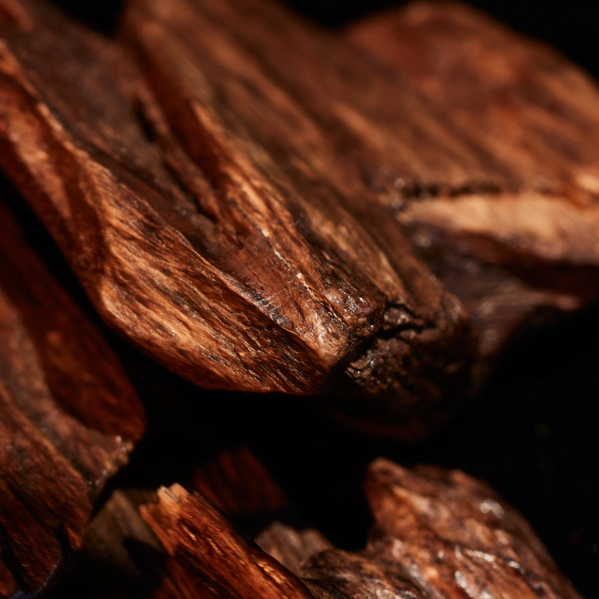 Oudgasm Tobacco Oud | 04 - Image 7