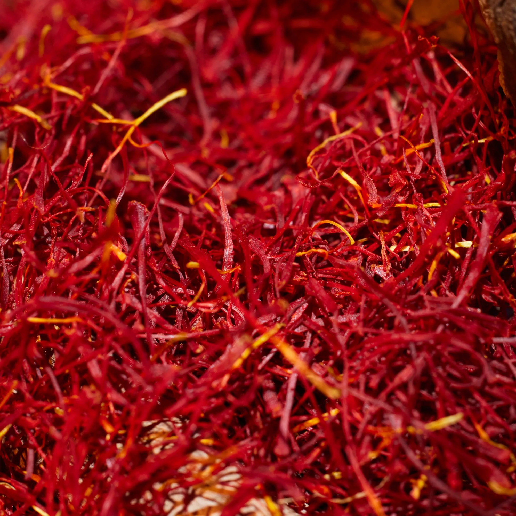 Oudgasm Vanilla Oud | 36 Bakhoor - Image 6